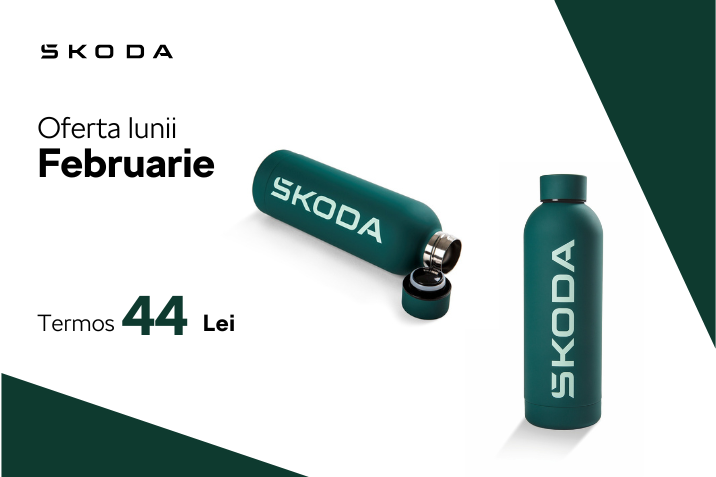 Oferta lunii februarie - Skoda